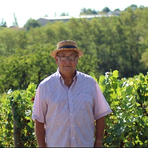 A Lignerolles, Roland Pailloux perpétue la tradition de la culture de la vigne