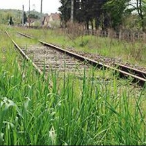 Projet de voie verte Evaux-Montluçon : du nouveau aujourd'hui?