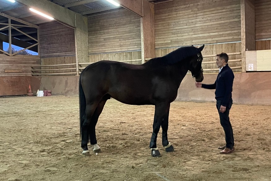 Au centre équestre de Villiers à Domérat, des chefs d'entreprise initiés à l'équi-coaching