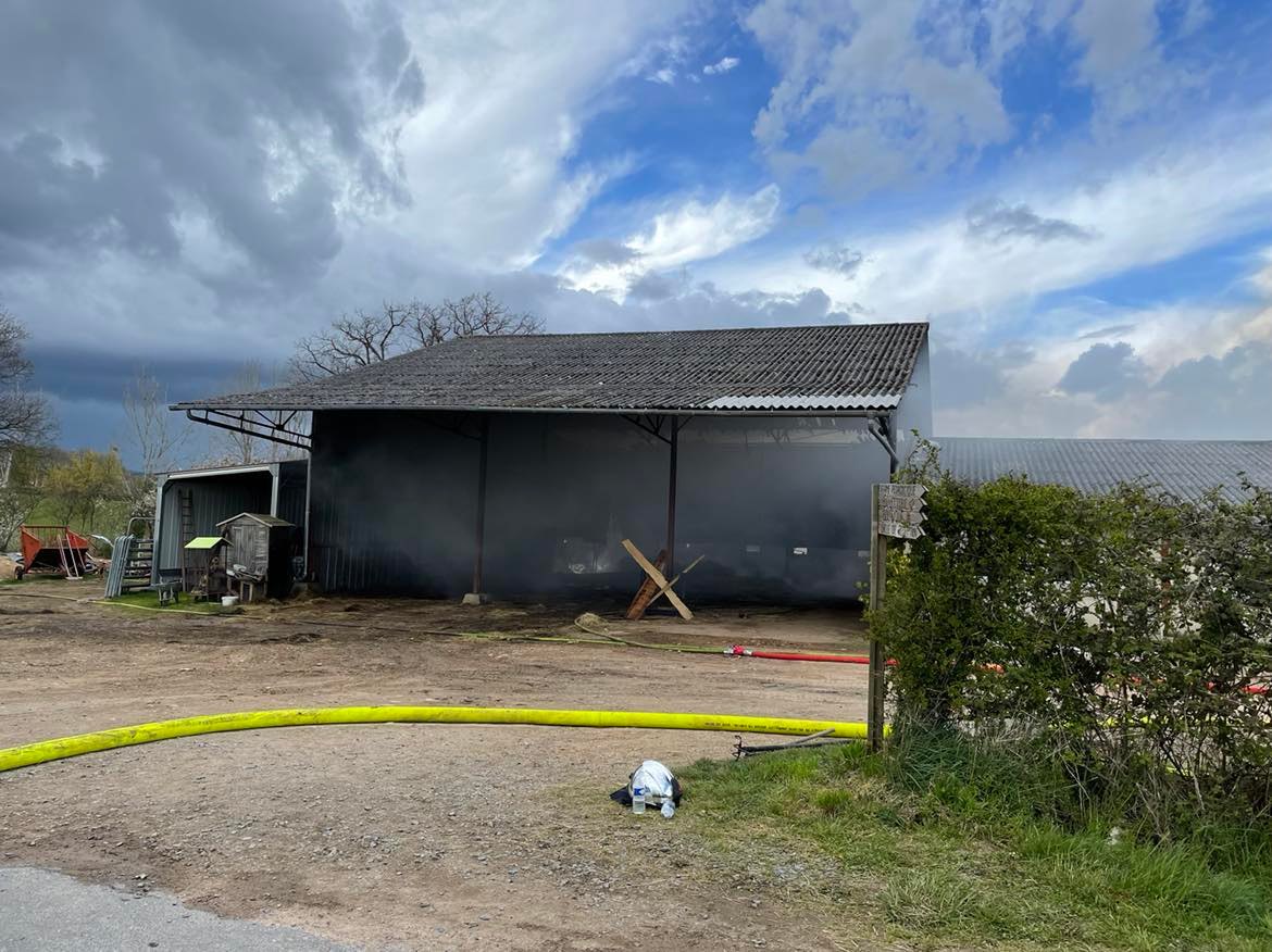 340716673_726026895932201_3701255459905390294_n.jpg (188 KB)