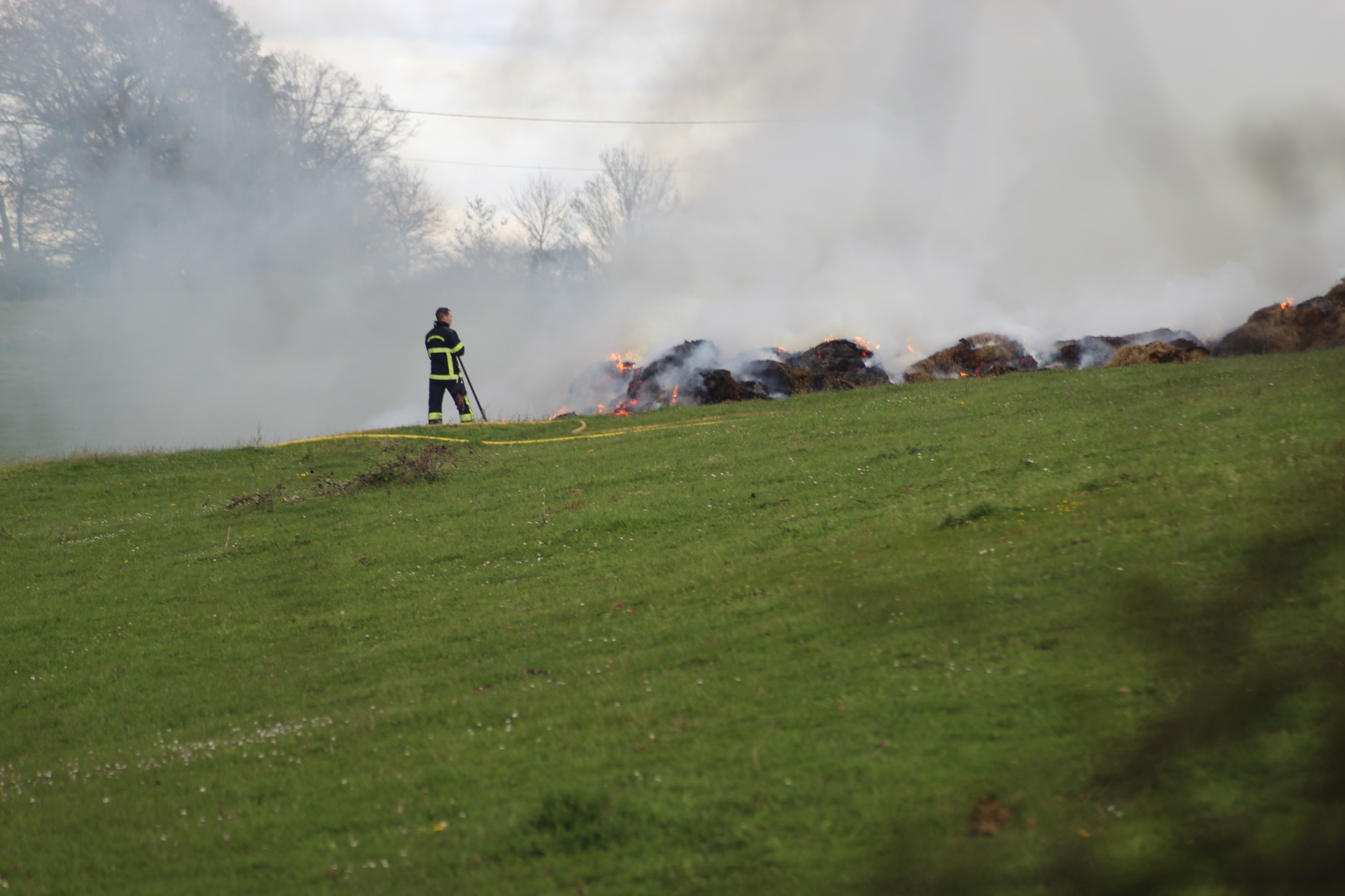 IMG_1681.JPG (4.38 MB)