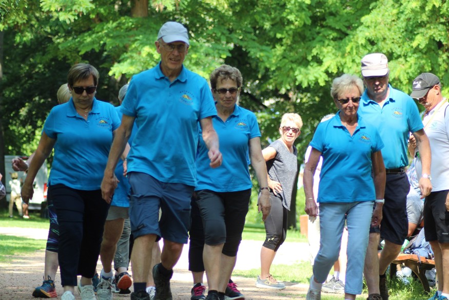 Marche, pétanque, sarbacane, médiation animale... Des activités tout l'été au parc des Ilets avec Sport, santé, famille
