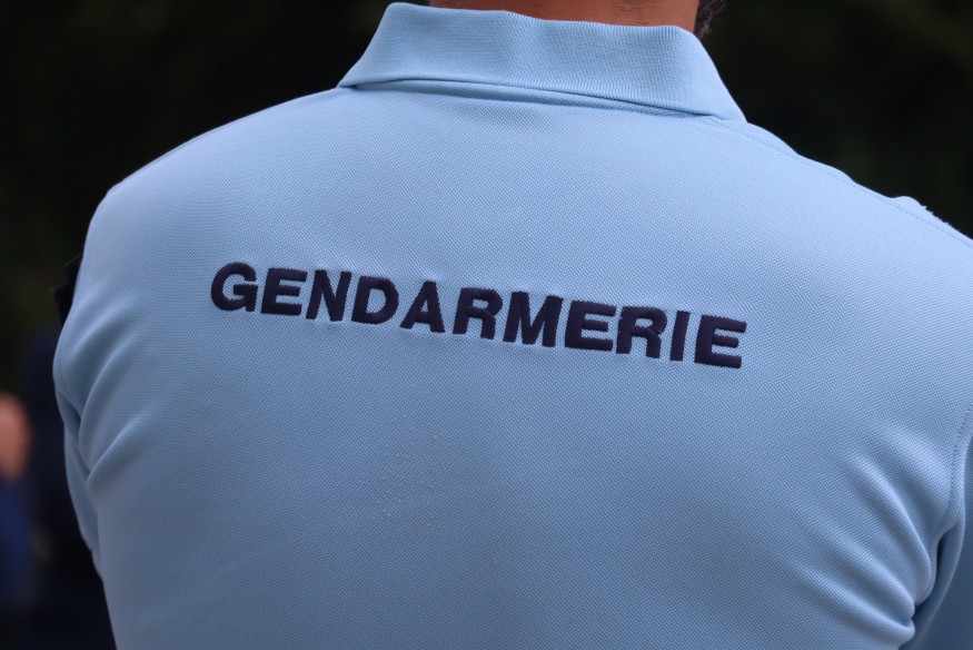 Les deux femmes qui avaient disparu en forêt de Tronçais retrouvées saines et sauves