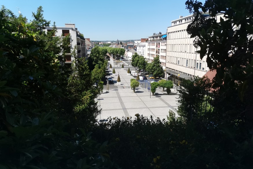Longtemps sacrifiés, les arbres font leur retour dans les projets d'aménagement des communes de l'Allier